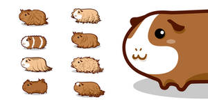 Guinea Pigs