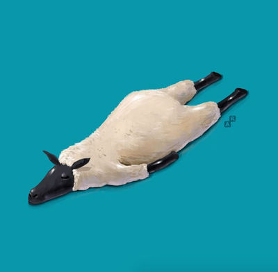 Sheep by Aaron-Randy on DeviantArt