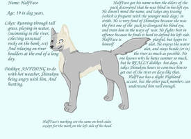 wolf contest entry 2