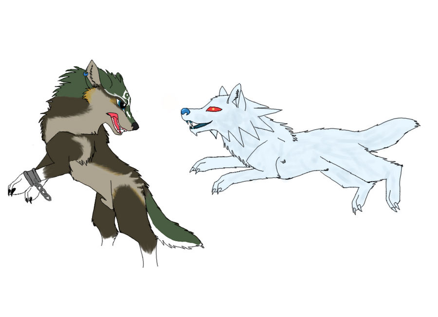 Wolf Link vs. White Wolfos