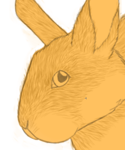 Bunny WIP