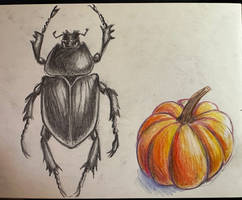 sketchbook page