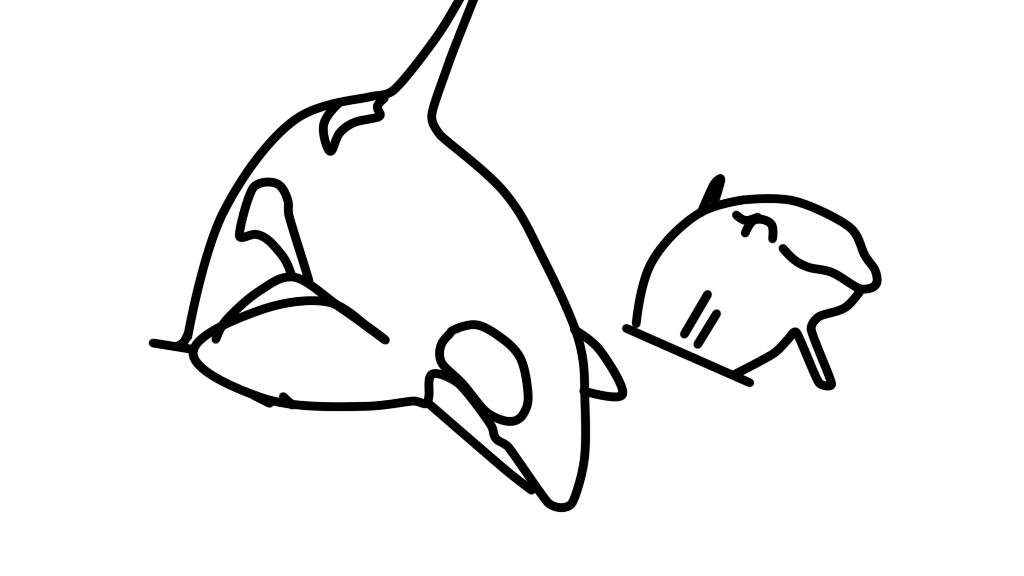Orca lineart 15 by Whalesandponybases on DeviantArt