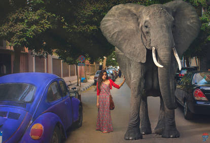 Girl with elephant