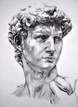 Michelangelo`s David