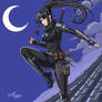 Super Ninja Warrior