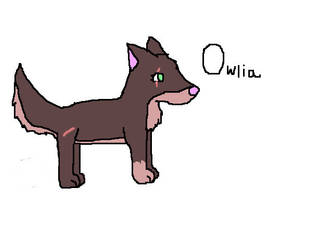 Owlia the Wolf XD.