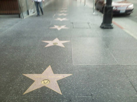 Hollywood Walk Of Fame