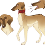 Dog Adoptable -CLOSED-