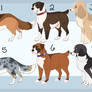 Dog Point Adopts -CLOSED-