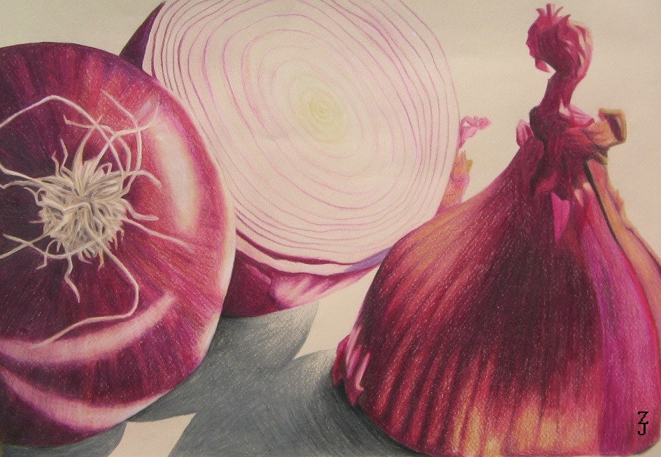 Drawing-onions