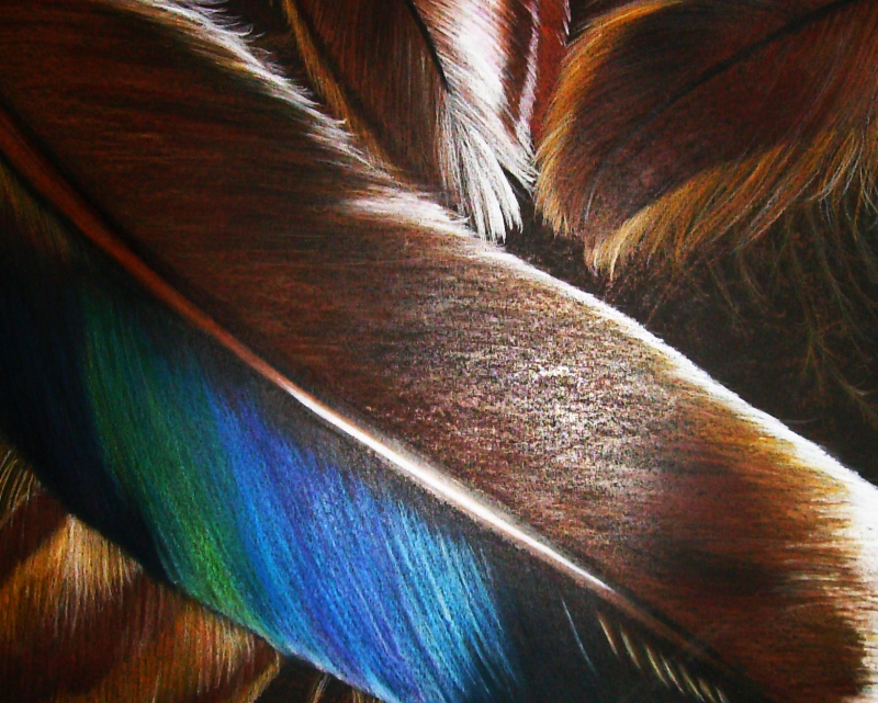 Feathers