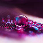 Plum by Kameolynn