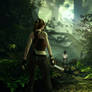 Tomb Raider Origins