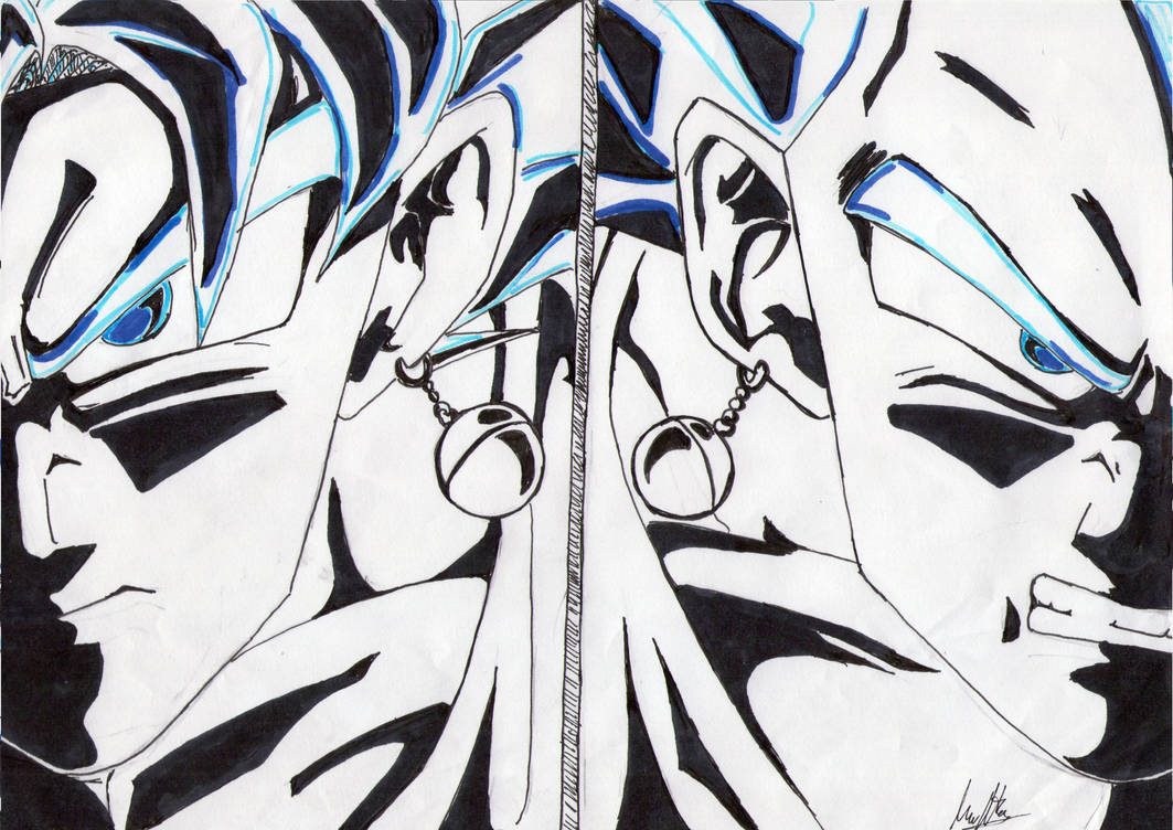 Fusion Goku Vegeta, Desenho por Seigneur Lupacho