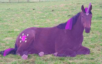 Twilight Sparkle...In Real Life!
