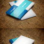 Cool Sleek Business Card Template