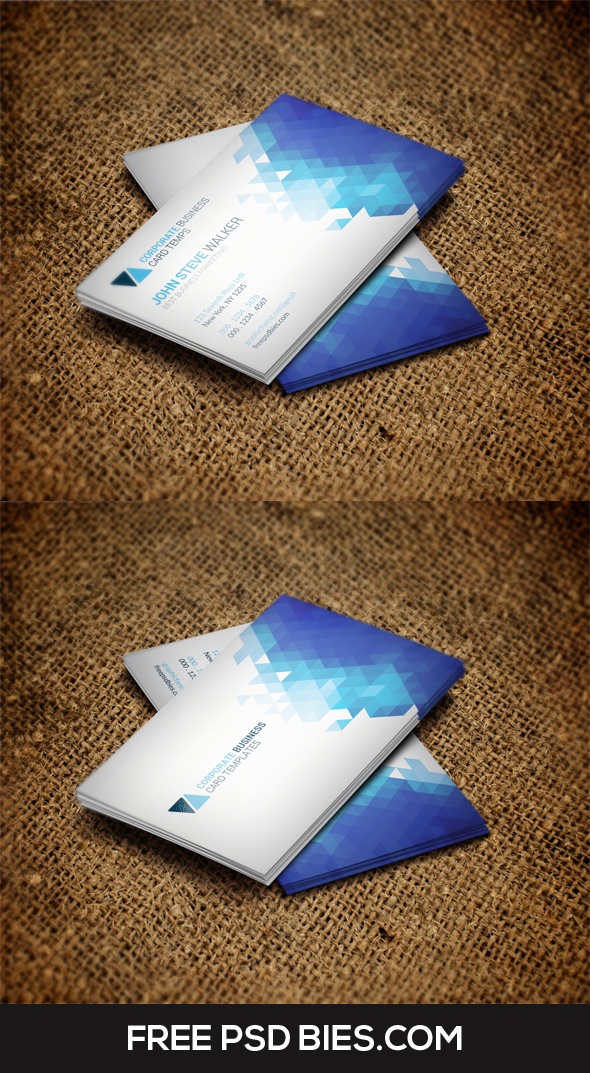 Clean Minimal Metro Style Business Card Template