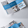 Tri Fold Business Brochure Bundle