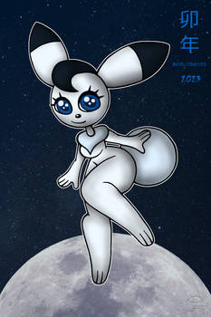 Year of the Rabbit 2023, with Bokko Bunny