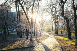 Running in the park