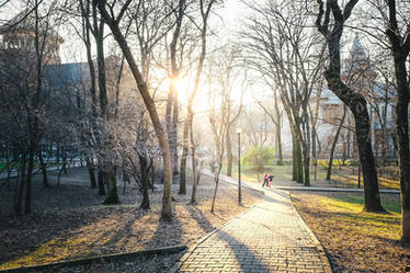 Running in the park