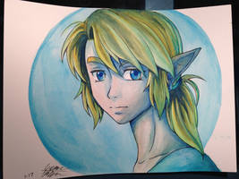 Breath of the Wild Link