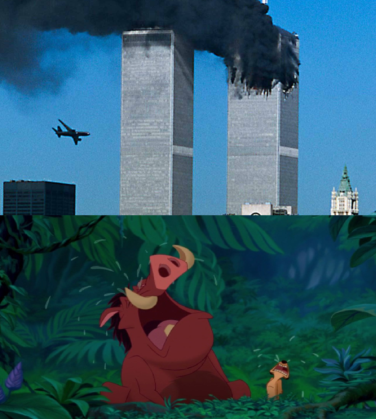 Timon and Pumbaa crying about Twin Towers by topcatmeeces97 on DeviantArt