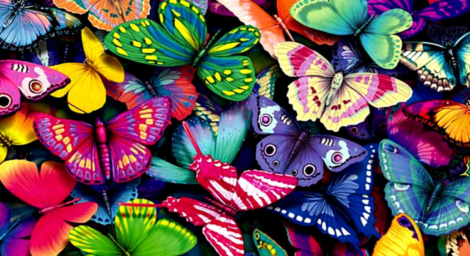 3d015312-a124-4f15-9b50-e83d46fb8d5b