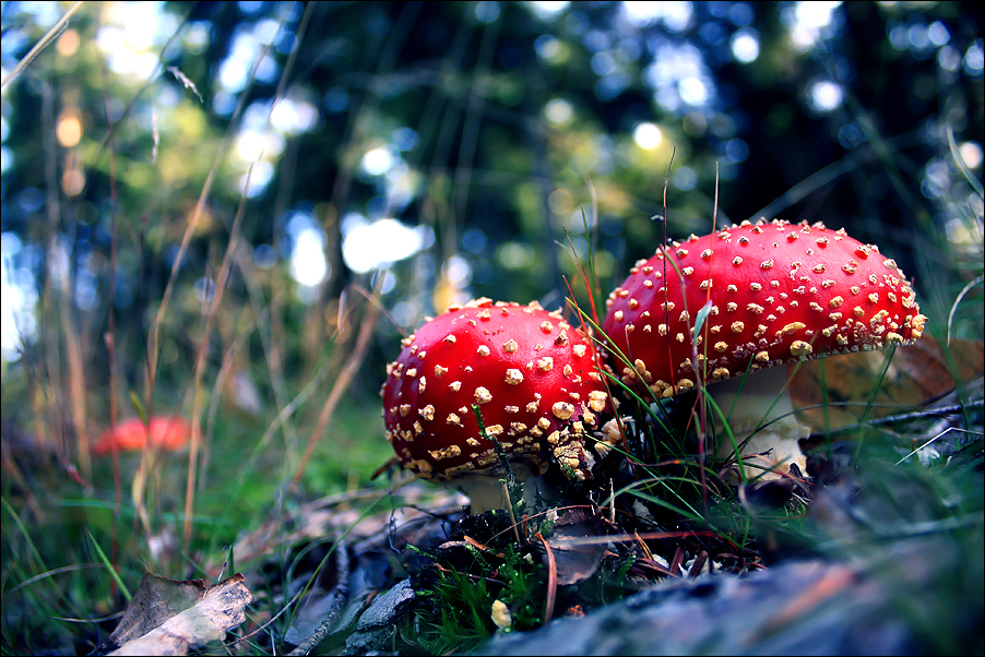 Loud Color Scheme Loud colors by FlorentCourty on DeviantArt