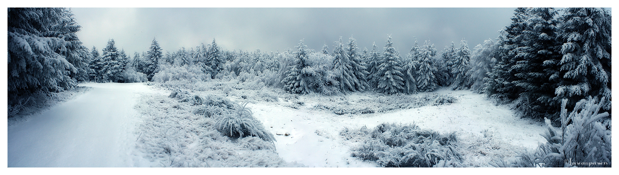 Iced World - Panorama