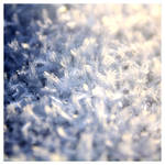 Ice Crystals by FlorentCourty