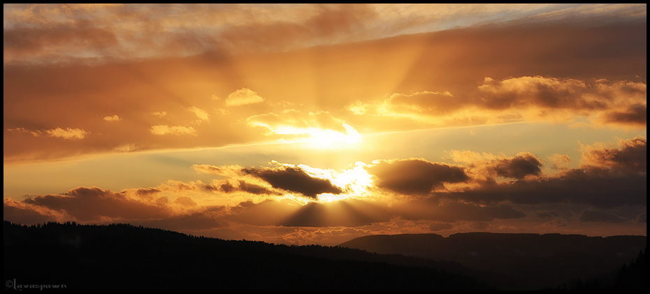 Evening Sunlight