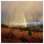 Rainbow after the Storm by FlorentCourty