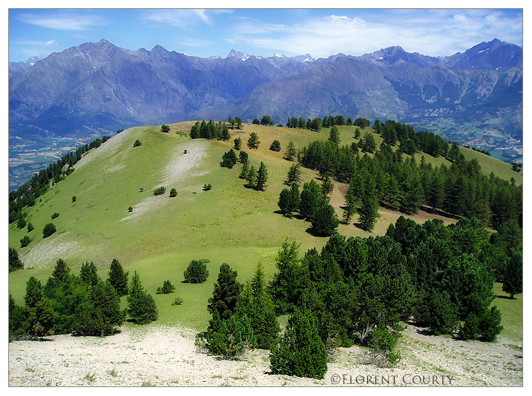 French Alps