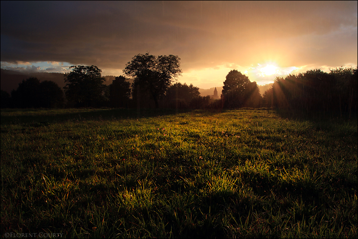 Majestic Light