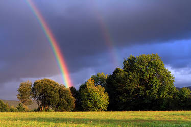 Sunset Rainbows