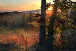 Fall Season by FlorentCourty