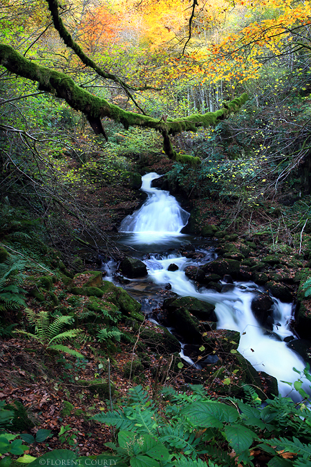 La Credogne Wild Spaces