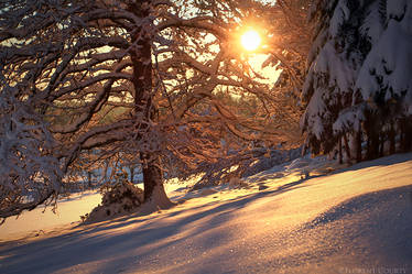 Colors on Frozen Snow