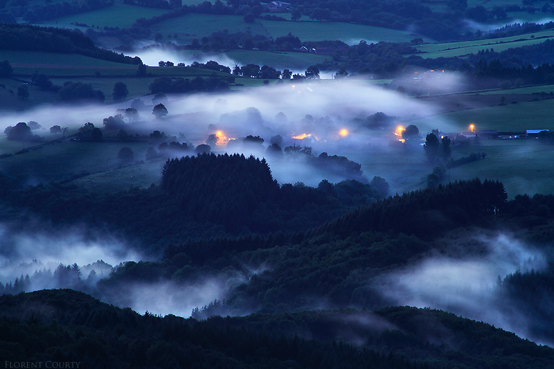 Creeping Mist