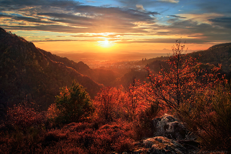 Everlasting Autumn