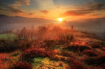 Fantasy Realm by FlorentCourty