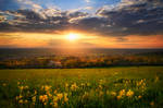 Spring Celebration by FlorentCourty