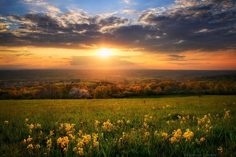 Spring Celebration by FlorentCourty
