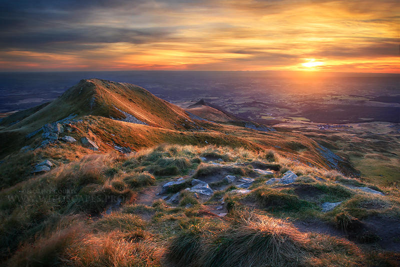 Autumnal Velvet by FlorentCourty