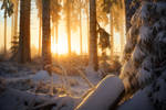 Winter Wonder by FlorentCourty