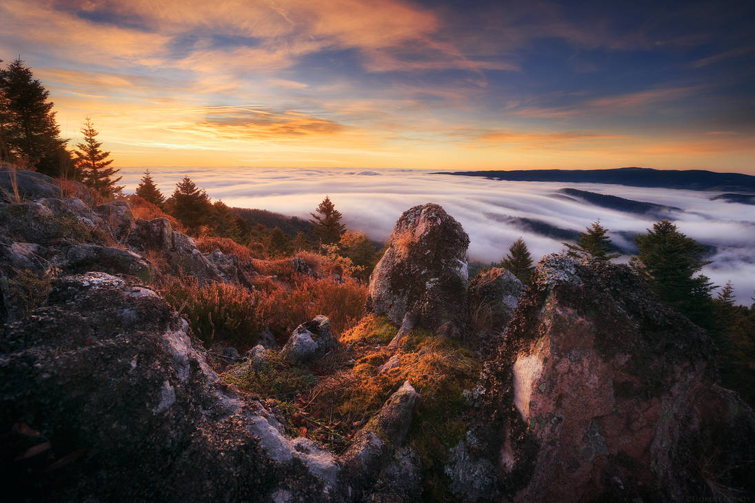 Morning Sea by FlorentCourty