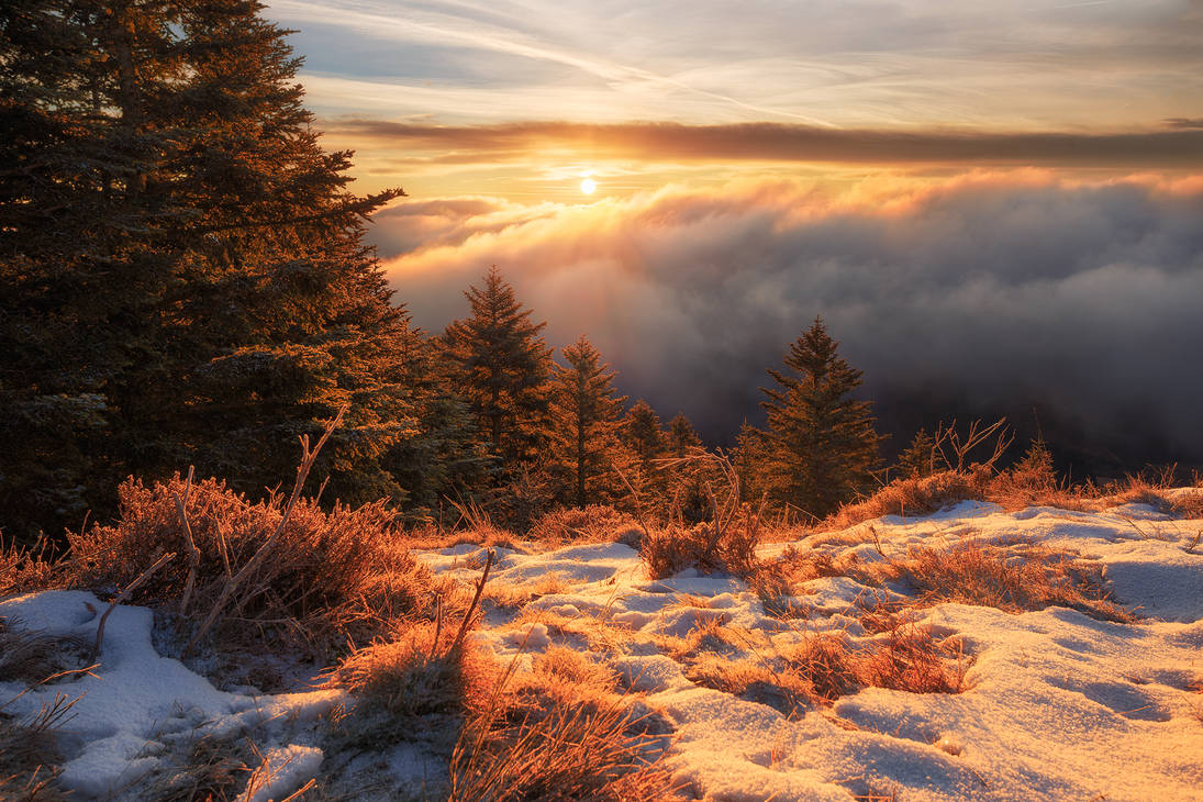 Morning Eye by FlorentCourty