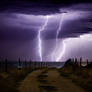 Thunderous Roads